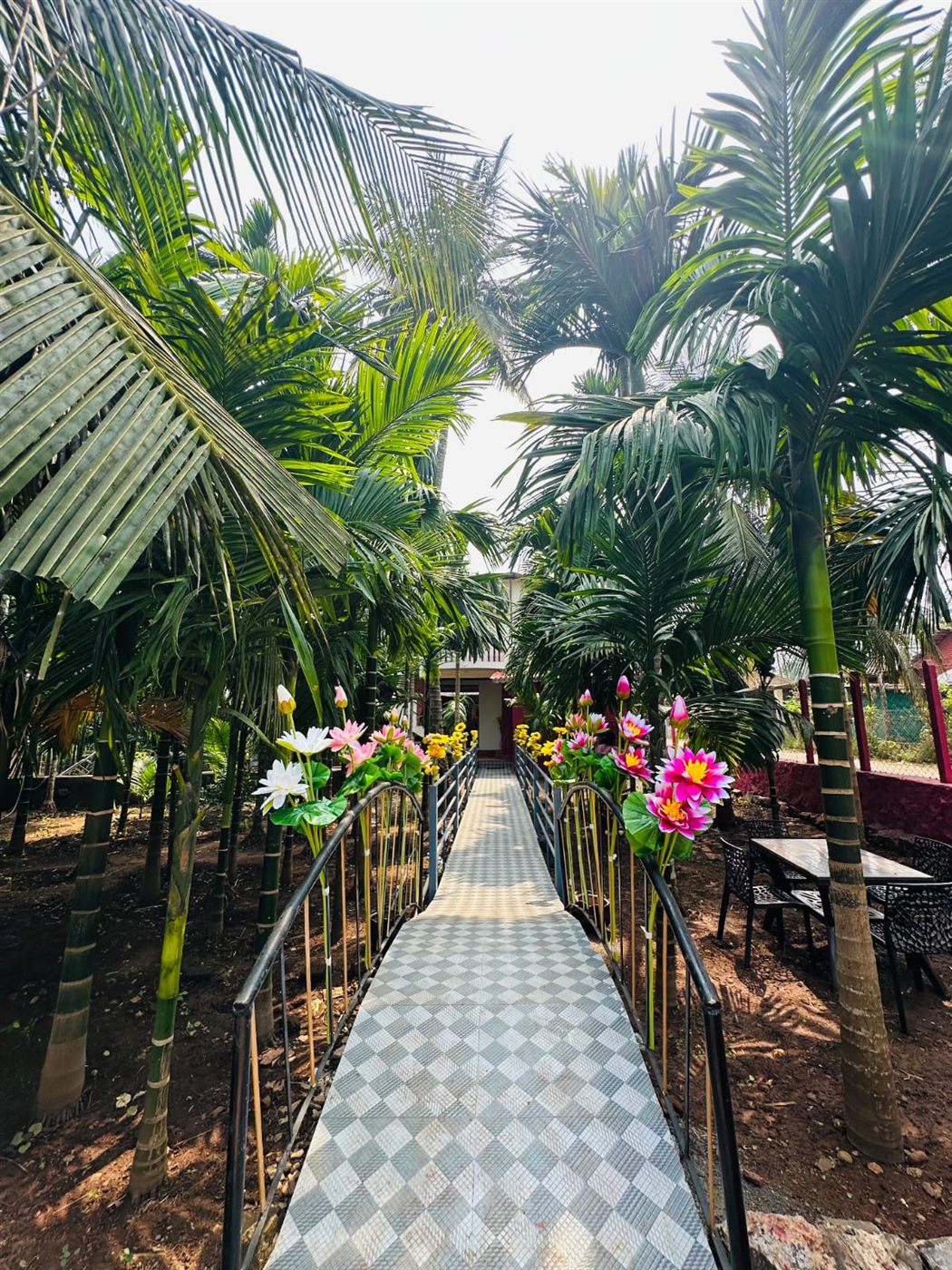 Flower-lined walkway through the palm grove leading to the rooms